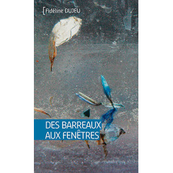 DES BARREAUX AUX FENETRES