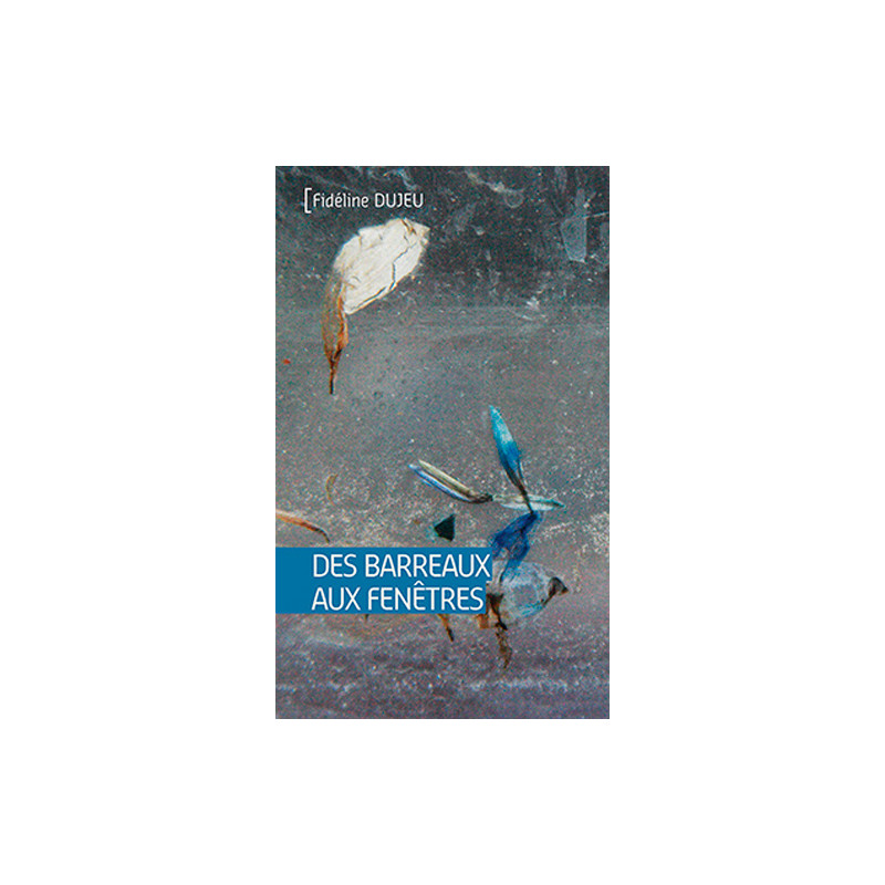 DES BARREAUX AUX FENETRES