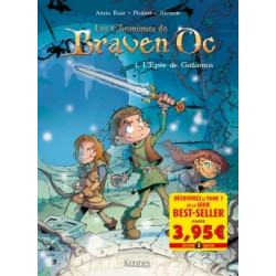 Braven Oc BD T01 - Offre...