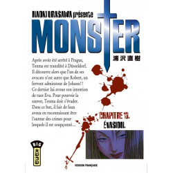 MONSTER T13