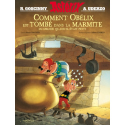 Astérix - Album illustré -...