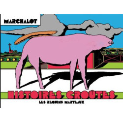 Histoires croûtes -...