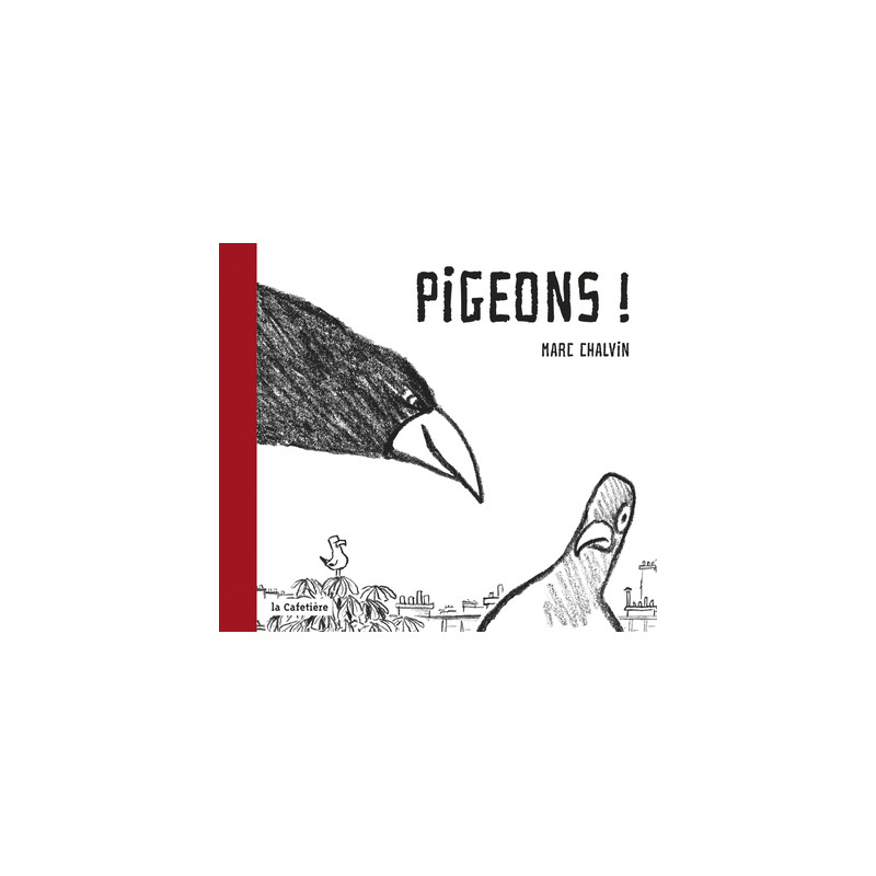 Pigeons !