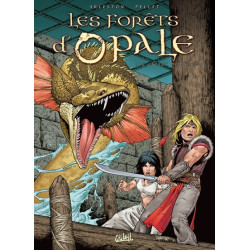 Les Forêts d'Opale T04 -...
