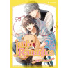 Junjo Romantica Tome 28