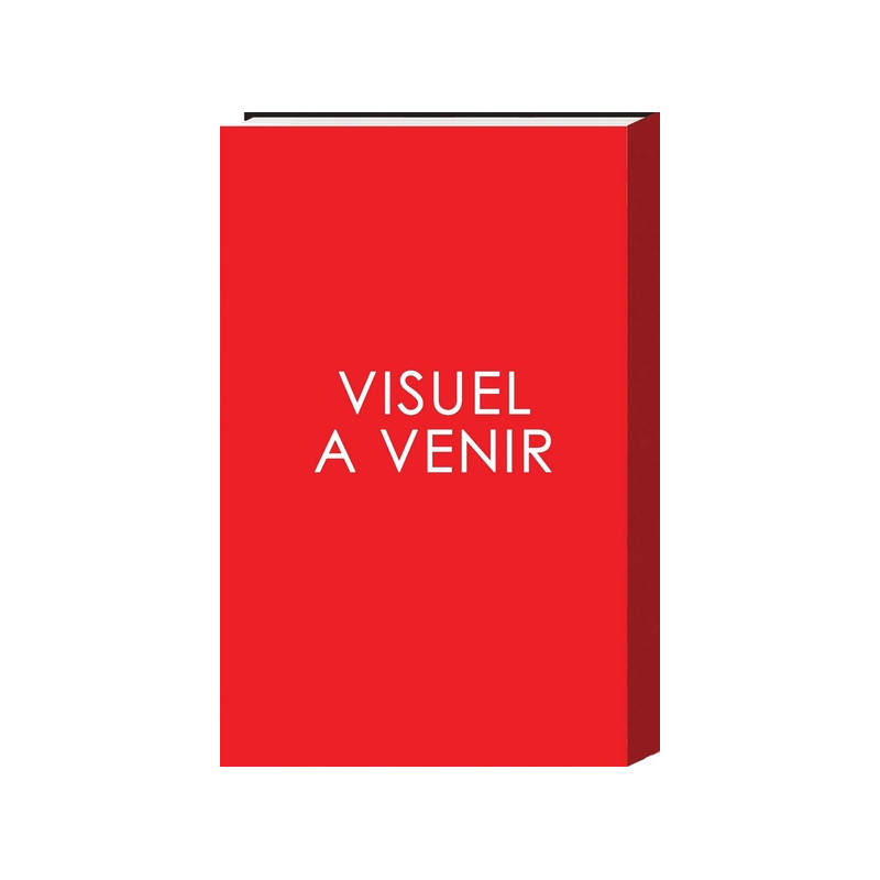 Hokuto No Ken - (Réédition) T15