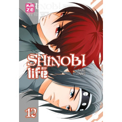 Shinobi Life T12
