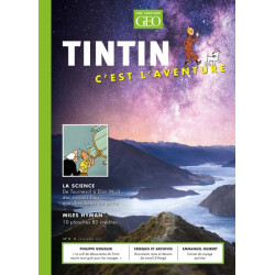 Tintin c'est l'aventure n°8...