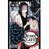 Demon Slayer T16