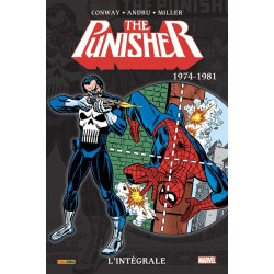 Punisher: L'intégrale...