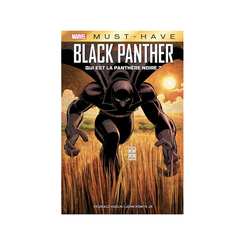 Black Panther: Qui est la Panthère Noire ?
