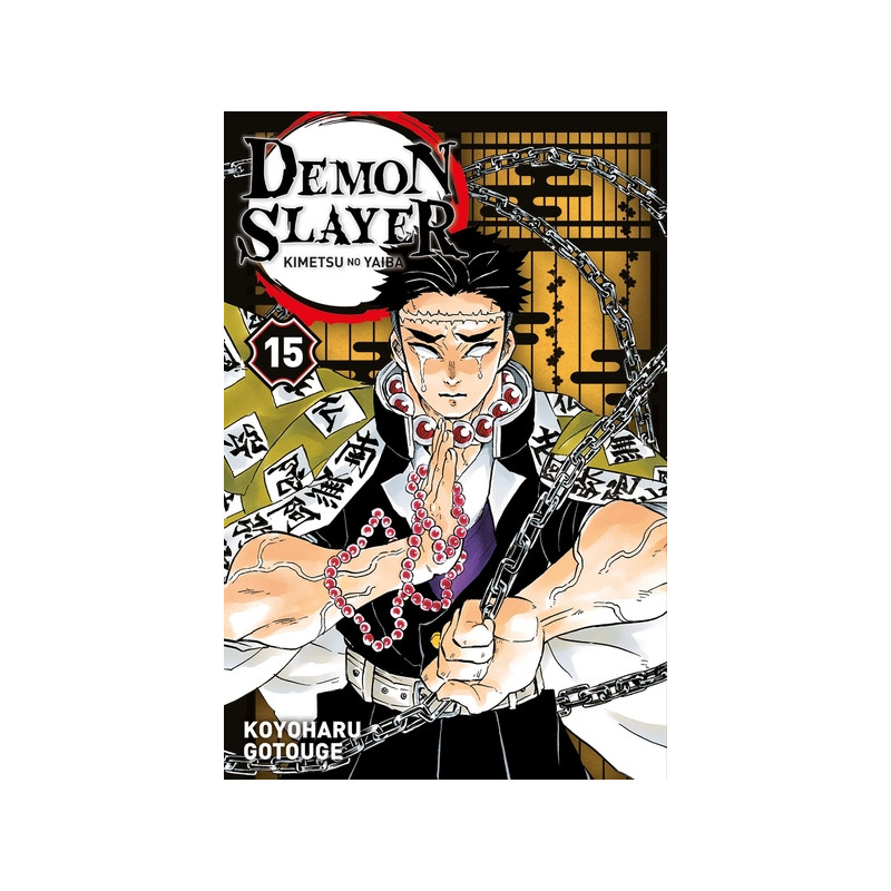 Demon Slayer T15
