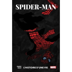 Spider-Man: L'histoire...