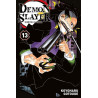 Demon Slayer T13