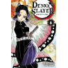 Demon Slayer T06