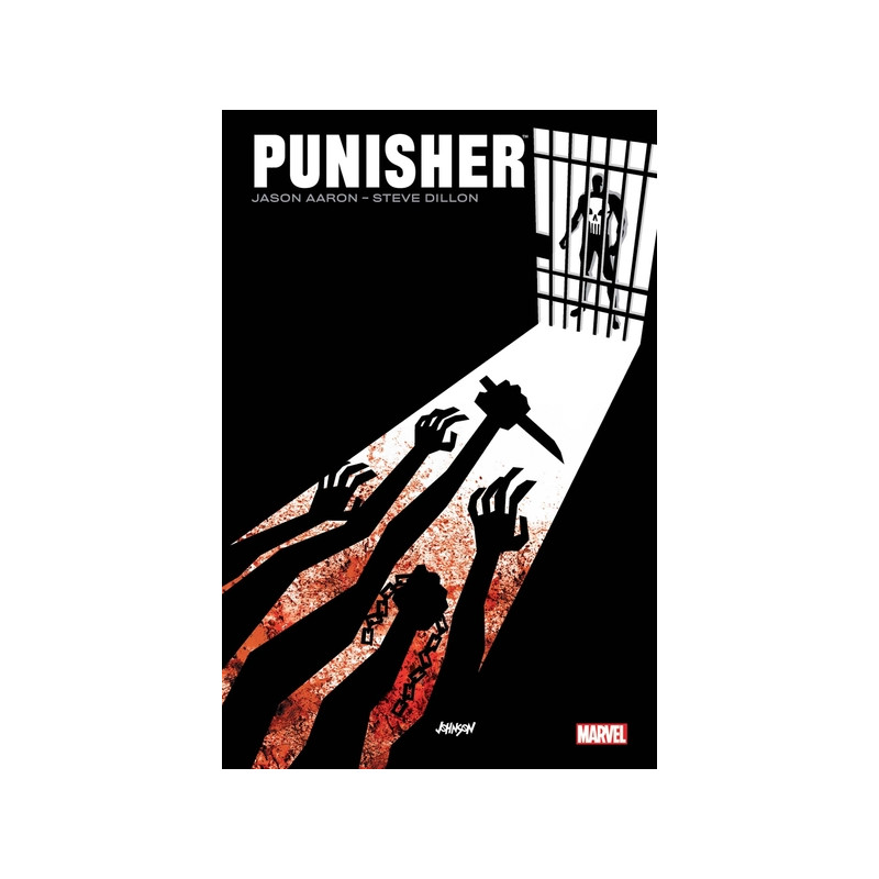 Punisher Max par Aaron et Dillon
