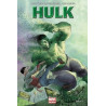 Hulk Marvel now T03