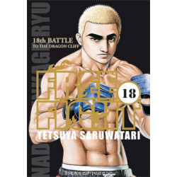 Free Fight T18