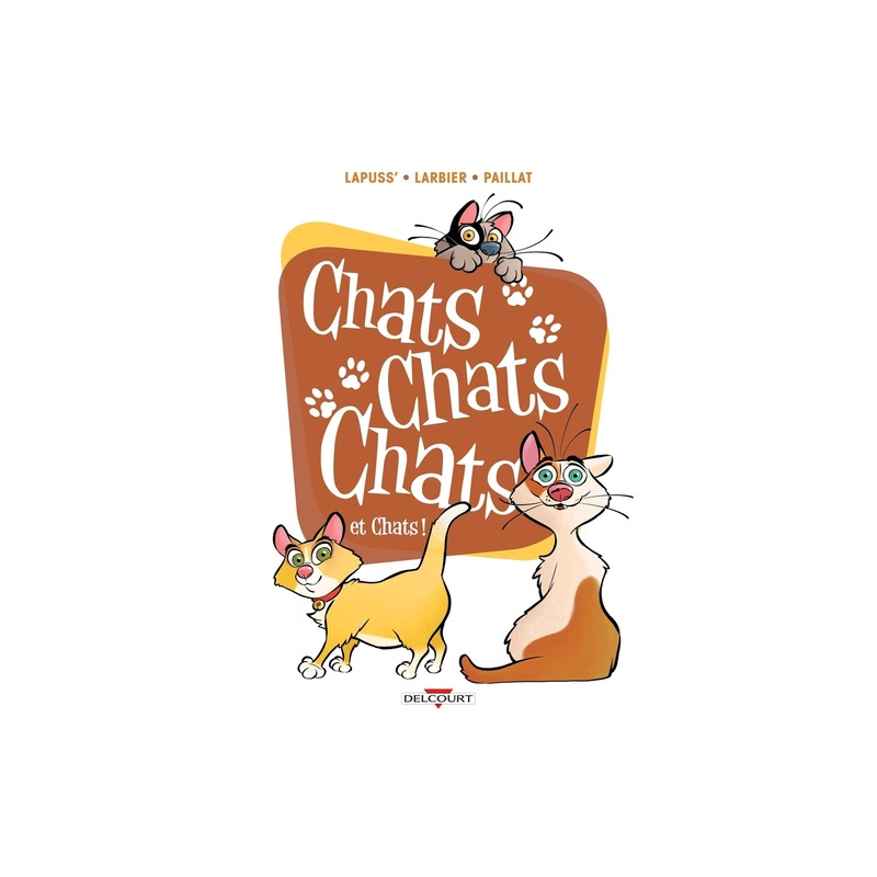 Chats chats chats et chats !