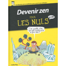 Devenir zen Pour les Nuls - BD