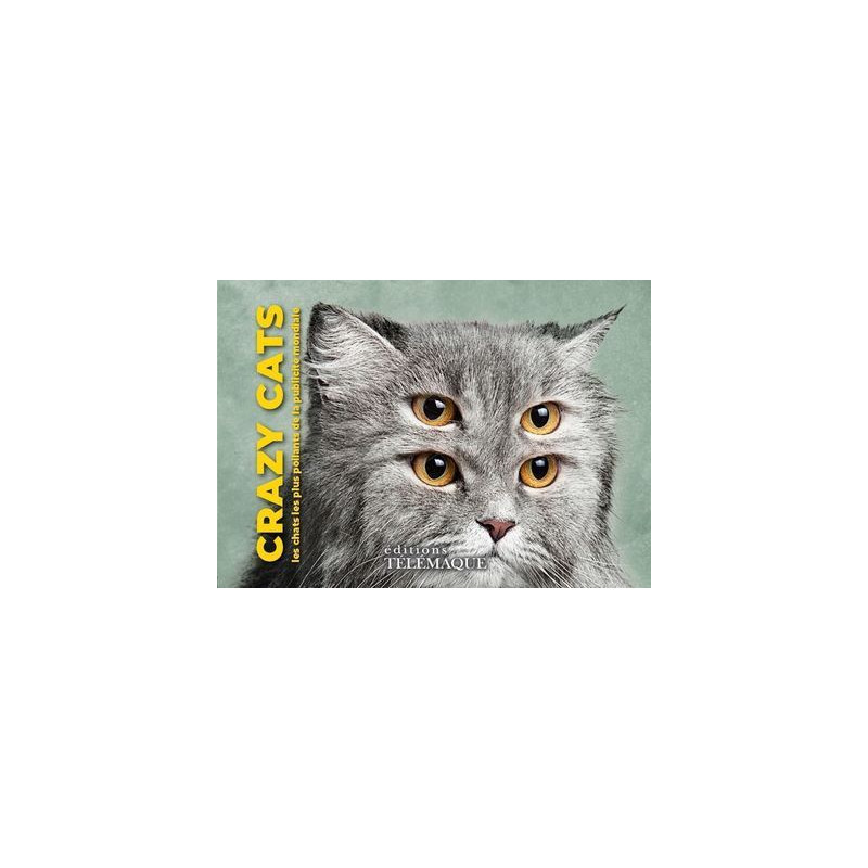 Crazy cats