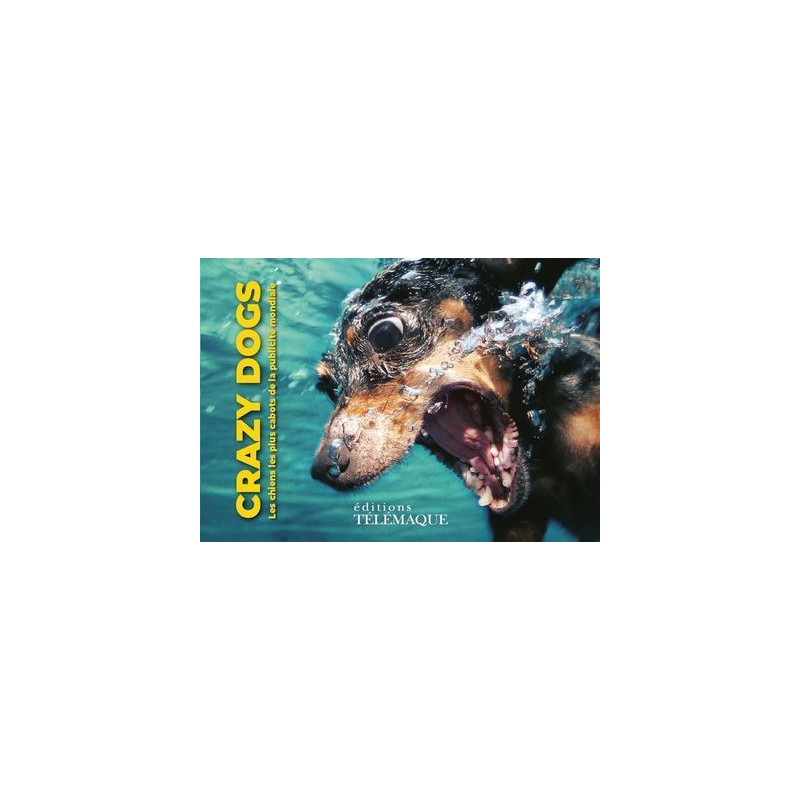 Crazy dogs