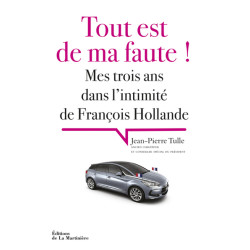Tout est de ma faute !