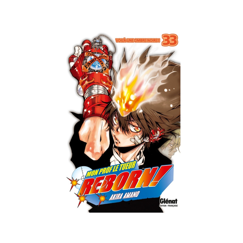 Reborn - Tome 33