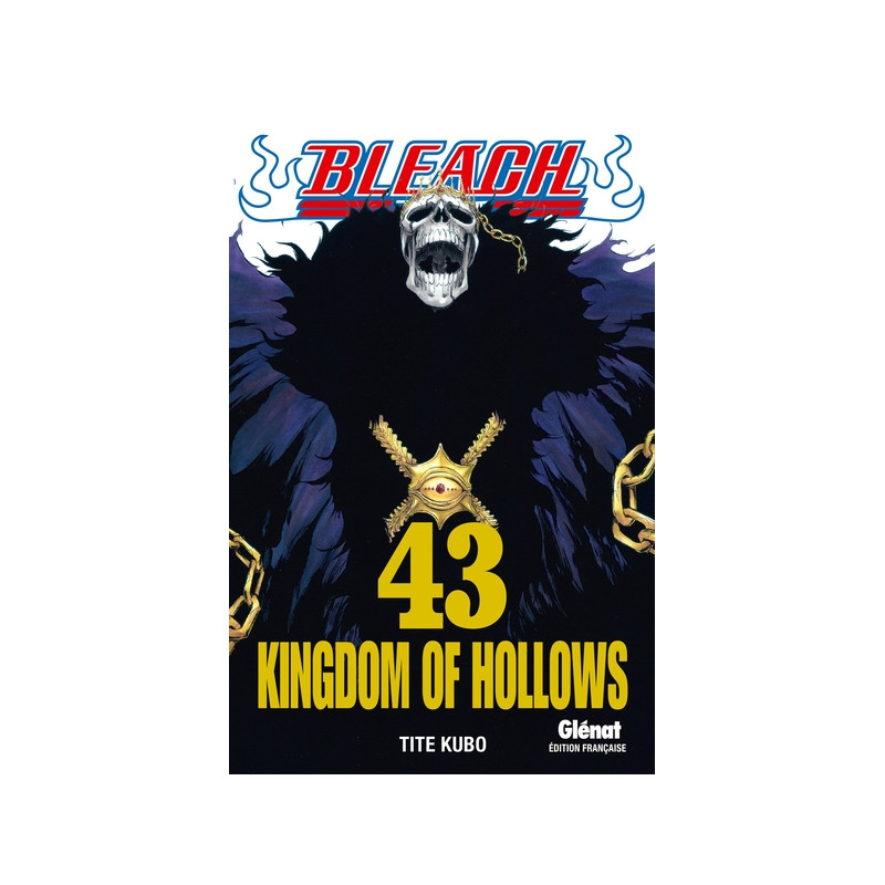 Bleach - Tome 43