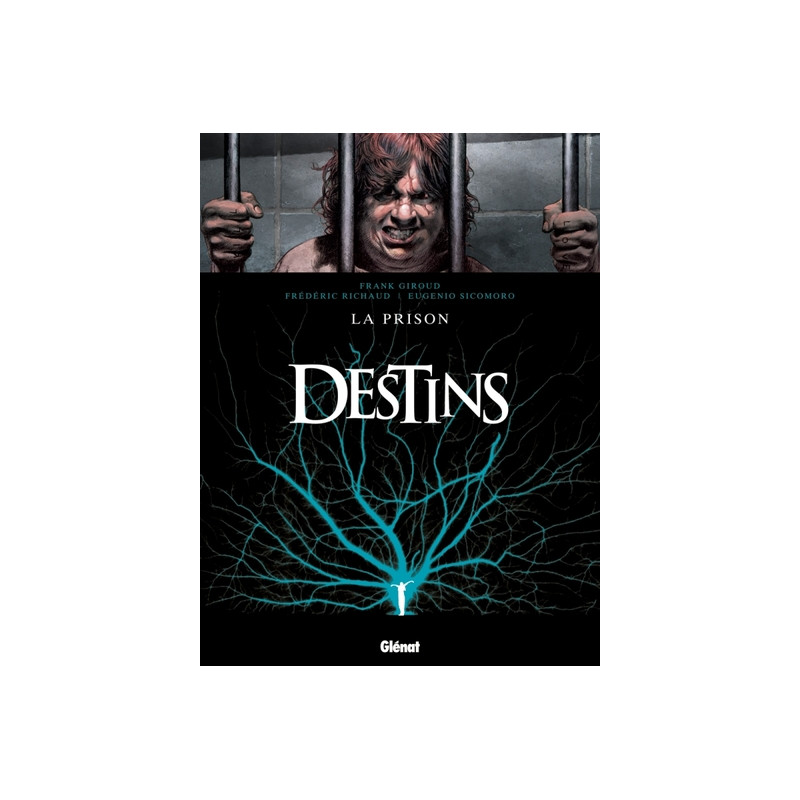Destins - Tome 12