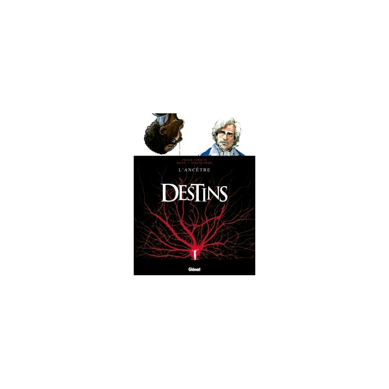 Destins - Tome 11