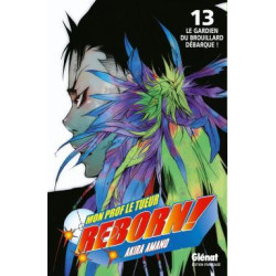 Reborn - Tome 13