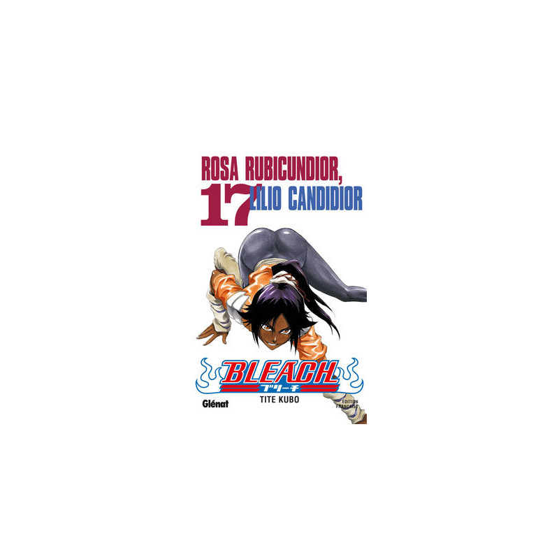 Bleach - Tome 17
