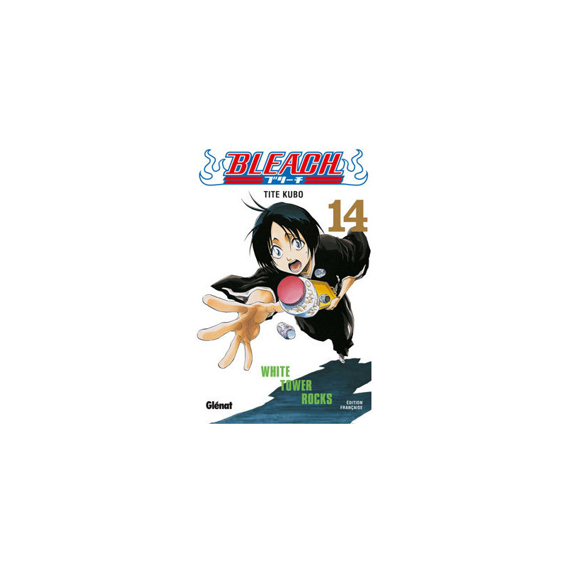 Bleach - Tome 14