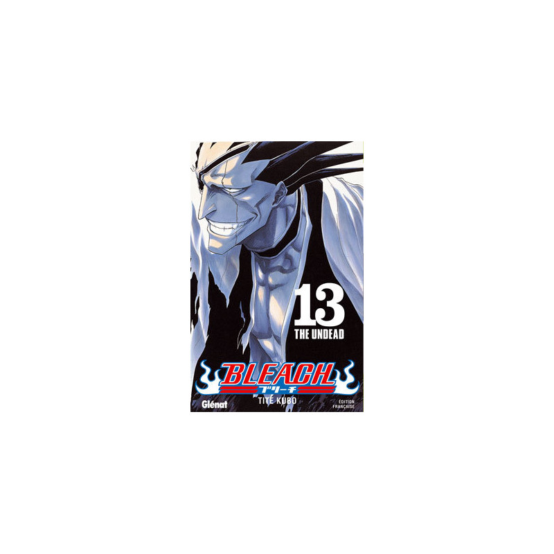 Bleach - Tome 13