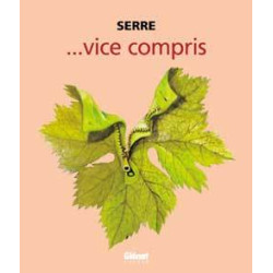 Vice Compris