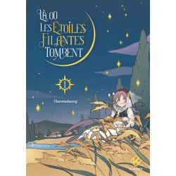 Là où les étoiles filantes...