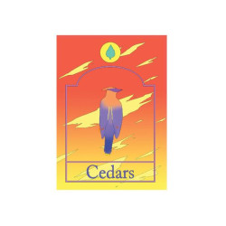 Cedars