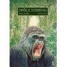 Drôle d'oiseau