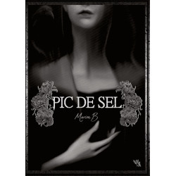 Pic de Sel