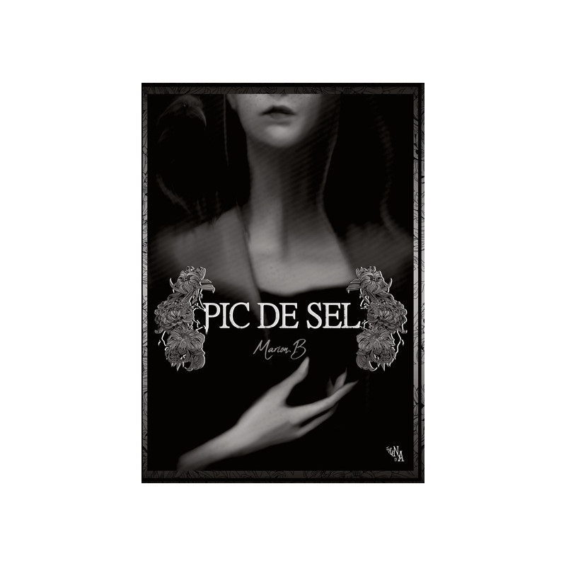 Pic de Sel