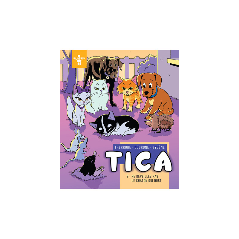 TICA 2