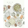 Gaia - Nouvelle Edition