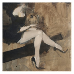 The Ashley Wood Library -...