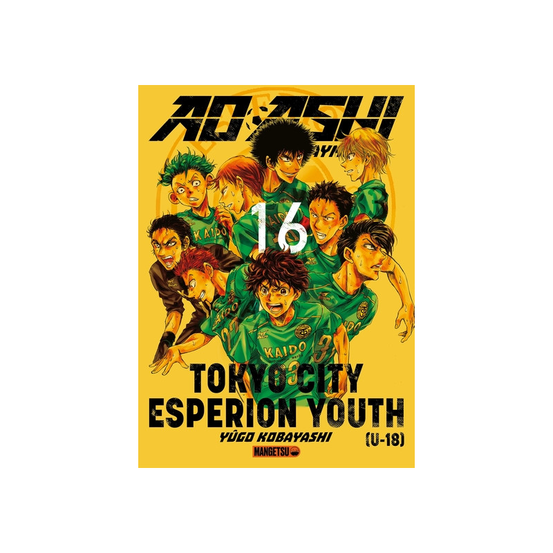 AO ASHI T16