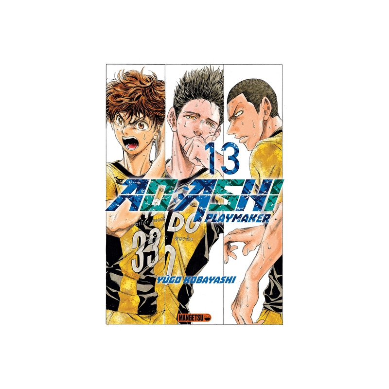 AO ASHI T13