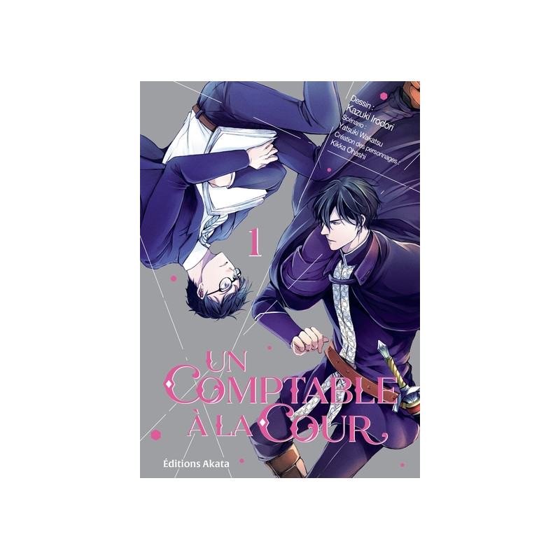 Un comptable à la cour - Tome 1