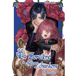 La sorcière du château aux...