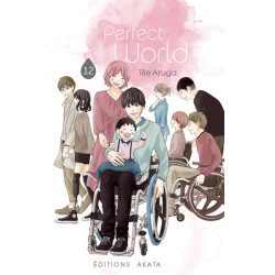 Perfect World - Tome 12...
