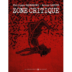Zone critique